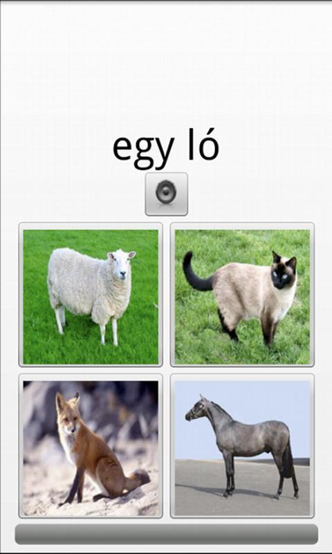 EZ Hungarian Vocab截图1