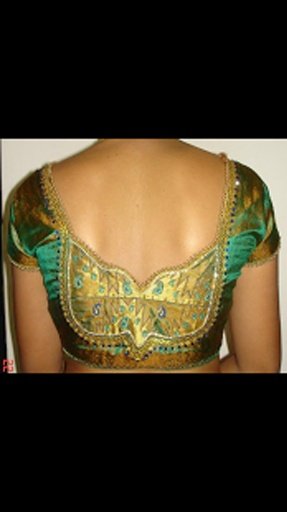 Women Blouse Designs 1000+截图7