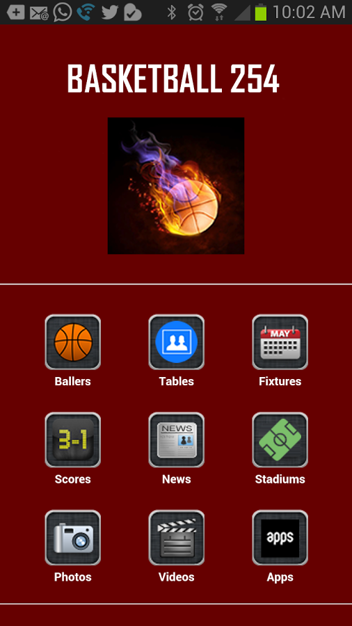 Basketball 254截图1