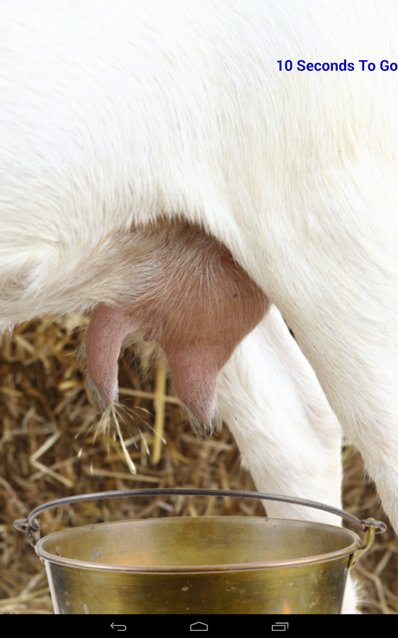 Milk A Goat截图1