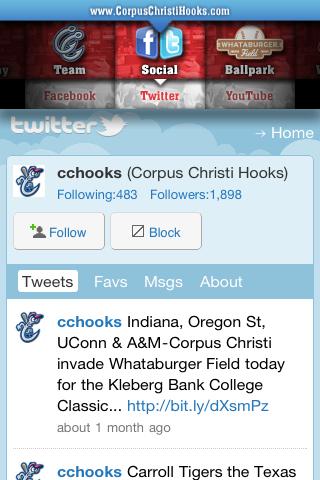 Corpus Christi Hooks截图2