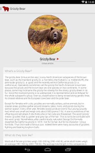 Mammals of North America Free截图6