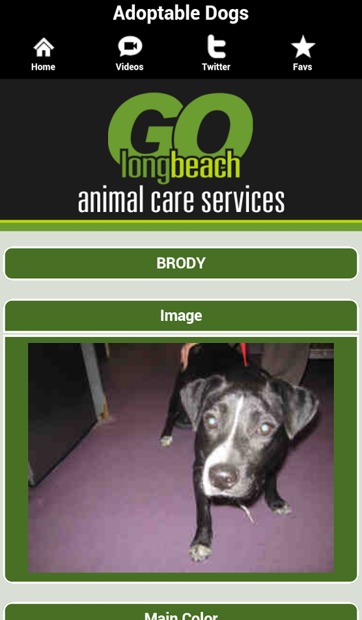 Long Beach Animal Care S...截图4