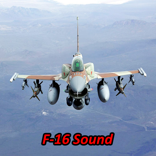 F-16 Fighting Falcon Sou...截图3