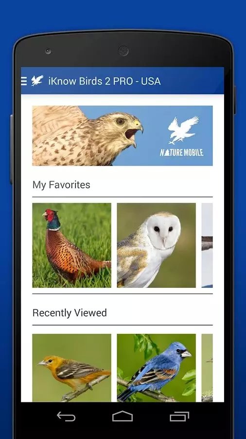 iKnow Birds 2 LITE - USA...截图7