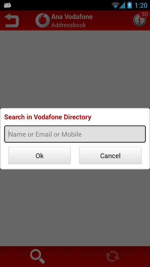 Ana Vodafone截图3