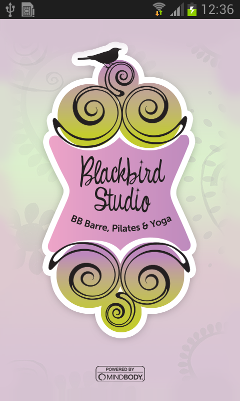 Blackbird Studio截图1