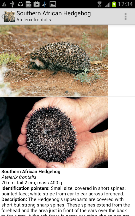 Mammals of SA Lite截图7