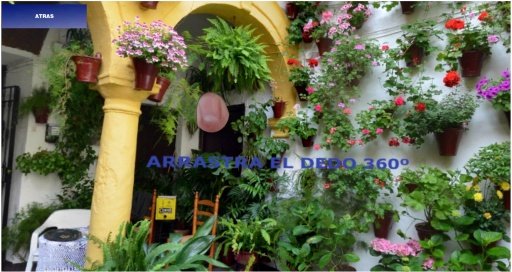 Cordoba Patios SB SPAIN截图2