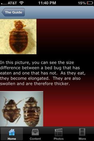 Bed Bugs How To截图1