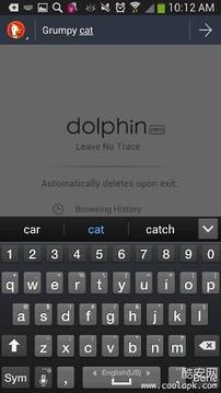 Dolphin Zero截图