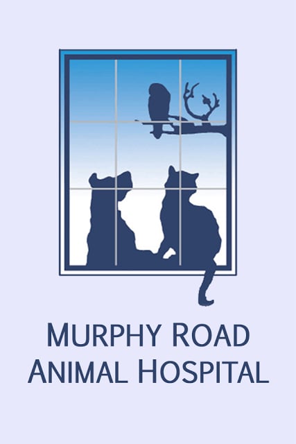 Murphy Road Vet截图5