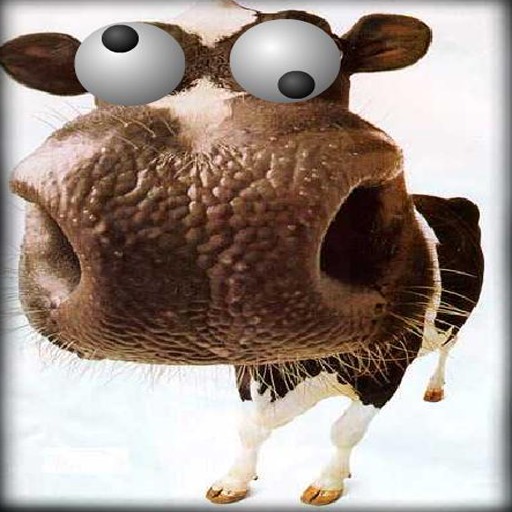 Milk the Cow for Speed截图3