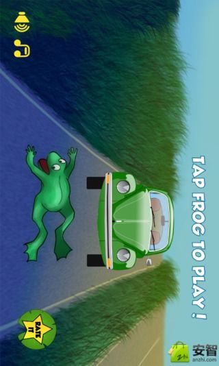 Road frog截图1