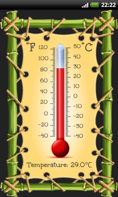Thermometer (温度计)截图1