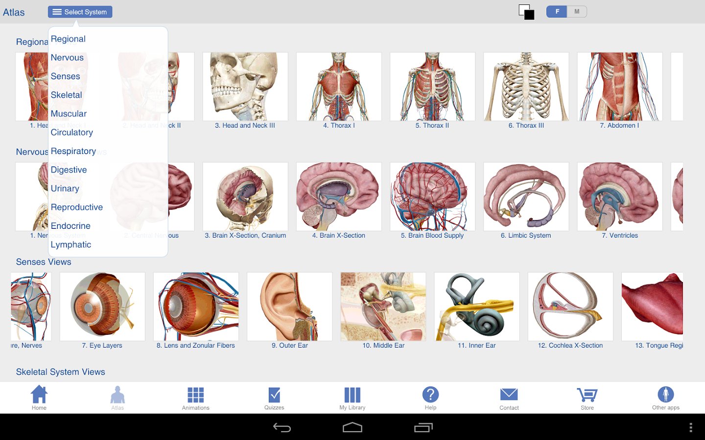 Human Anatomy Atlas SP截图1