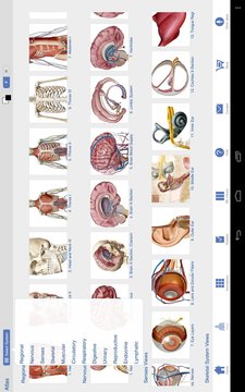 Human Anatomy Atlas SP截图