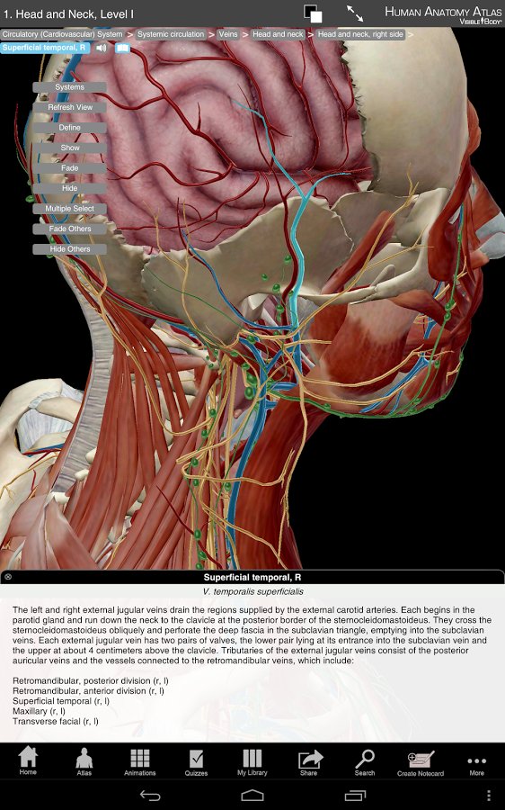 Human Anatomy Atlas SP截图5