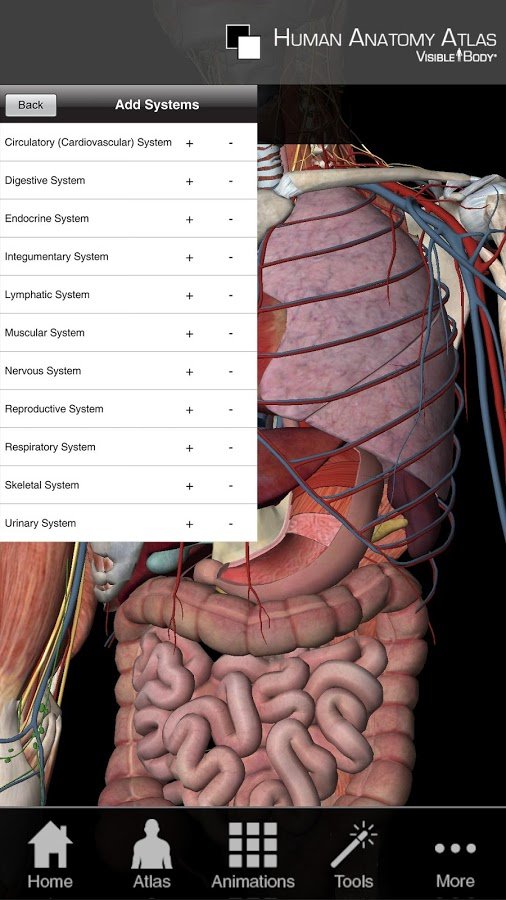Human Anatomy Atlas SP截图7