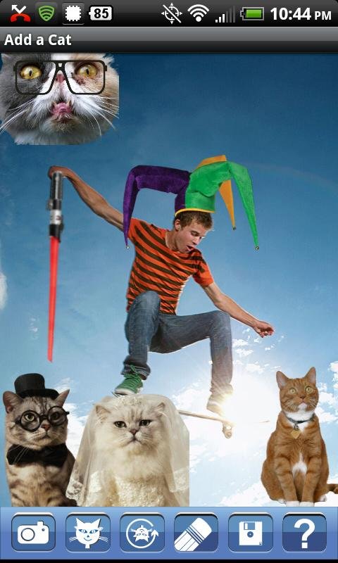 Add a Cat FREE - Photo Editor截图1