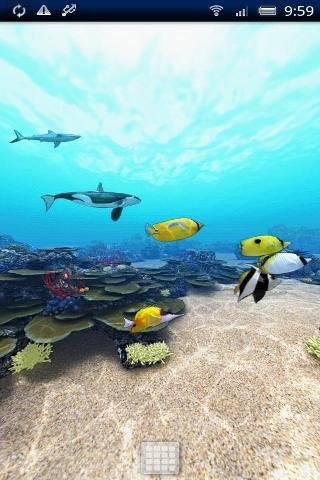 Tropical Ocean 360°Trial截图2