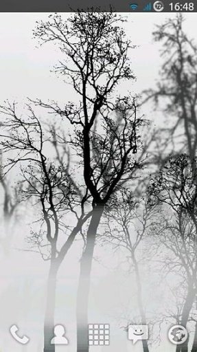 Trees In Fog...截图2