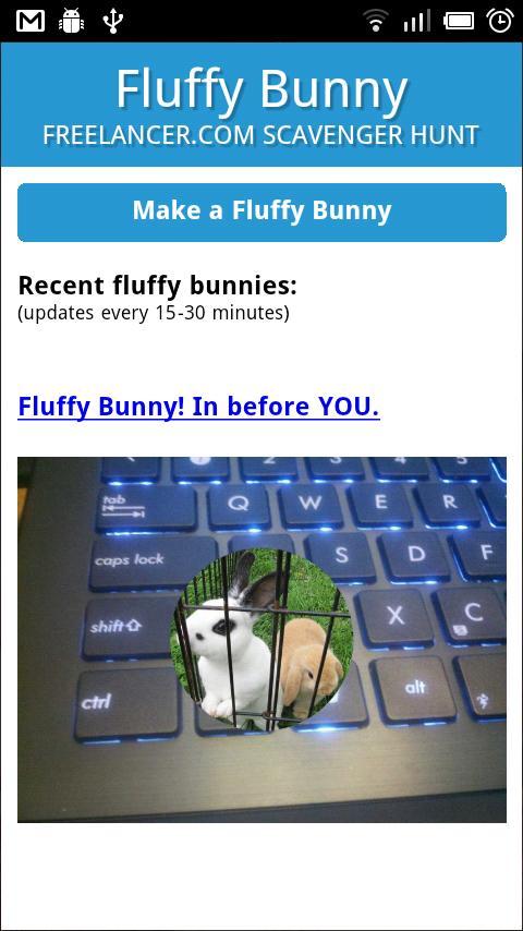 Fluffy Bunny截图2