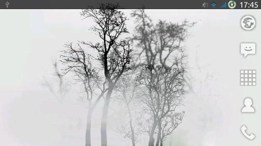 Trees In Fog...截图1