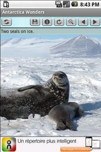 Antarctica Wonders截图2