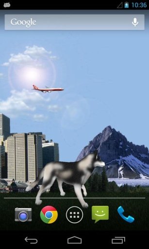 Dog Husky Traveling 3D LWP截图9