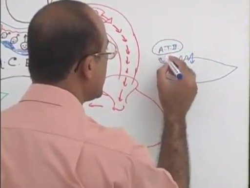 dr najeeb physiology lectures torrents