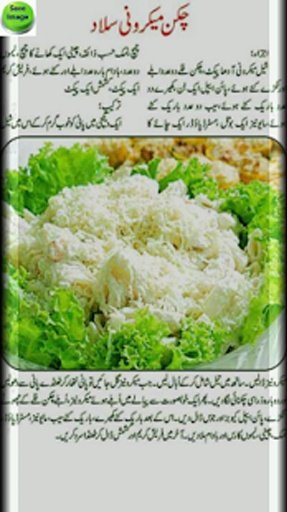 Urdu Salads recipes截图3