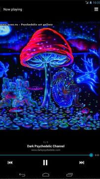 Dark Psychedelic截图