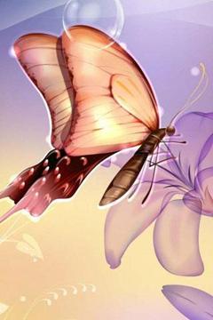 3D Beautiful Butterfly截图