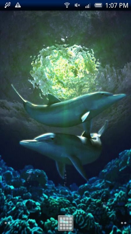 Dolphin Moonlight Trial截图4