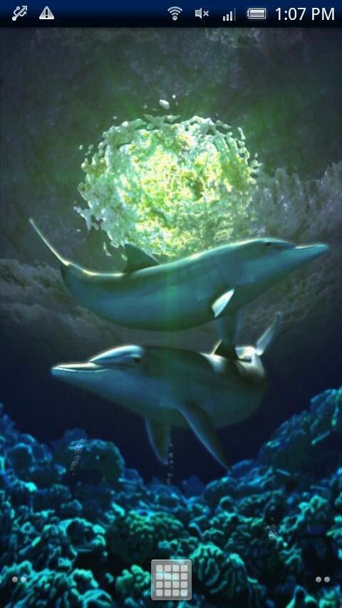 Dolphin Moonlight Trial截图1