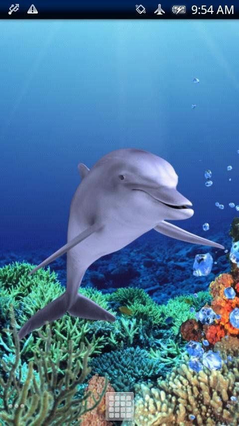 Dolphin Coral Free截图3