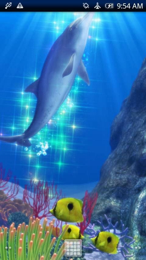 Dolphin Coral Free截图2