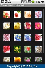 DVR:Flower Pack截图3