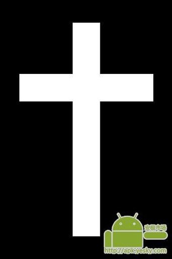 圣十字截图2