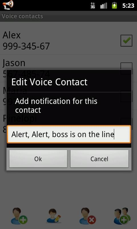 Voice Caller ID + SMS Lite截图2