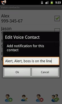 Voice Caller ID + SMS Lite截图