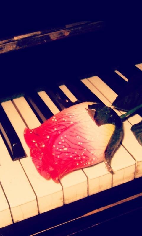 E主题：钢琴玫瑰截图1