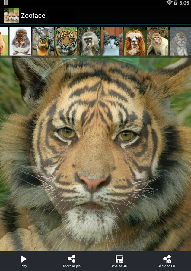Zooface - GIF Animal Morph截图1