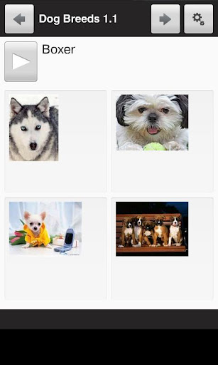 Learn the Top 30 Dog Breeds截图1