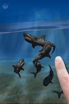 鲨鱼的手指3 d水族馆 Shark Fingers 3D Aquarium FREE截图