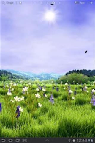 Spring Meadow Free截图2