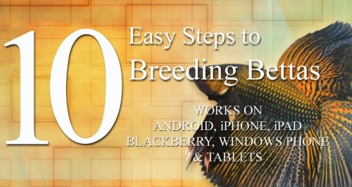 10 Easy Steps to Breed Bettas截图5