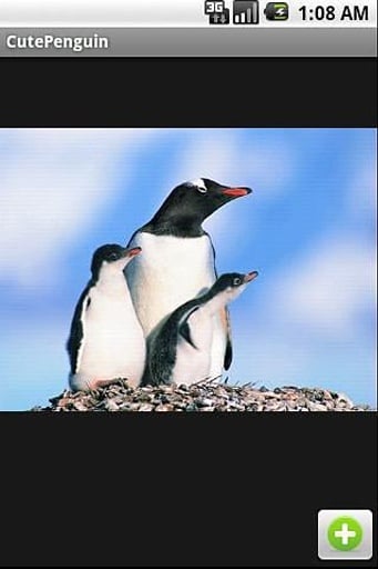 可爱企鹅图片集截图3
