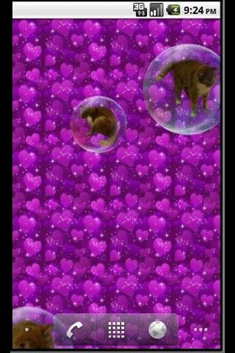 Bubble Kitten Live Wallpaper截图4